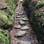 Kull Von Schmidsfelden 3*