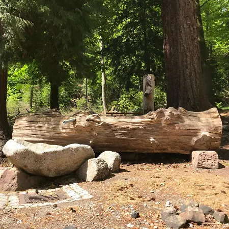 Kull Von Schmidsfelden 3*