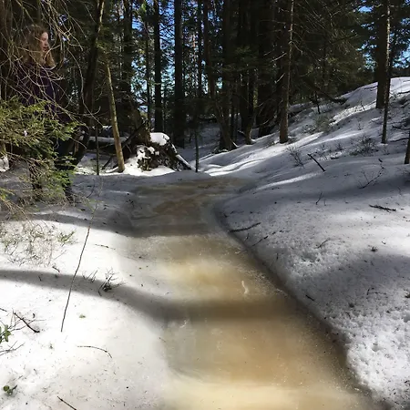 Hotell Kull Von Schmidsfelden 3*