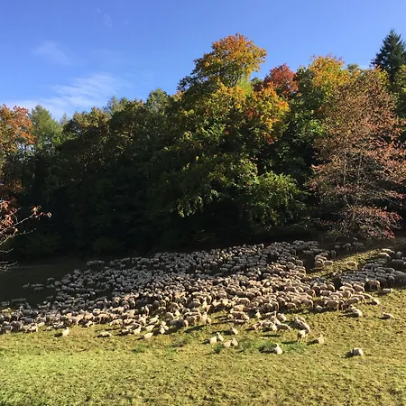 Kull Von Schmidsfelden Bad Herrenalb