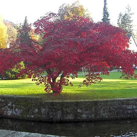 Kull Von Schmidsfelden 3* Bad Herrenalb
