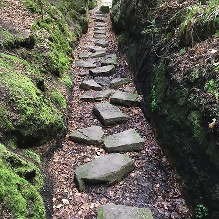 Kull Von Schmidsfelden 3*