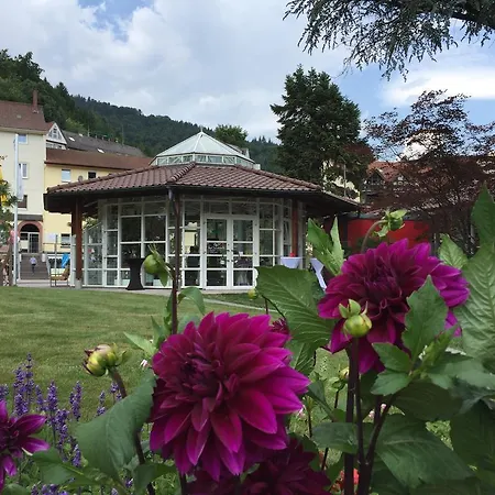 Kull Von Schmidsfelden Bad Herrenalb