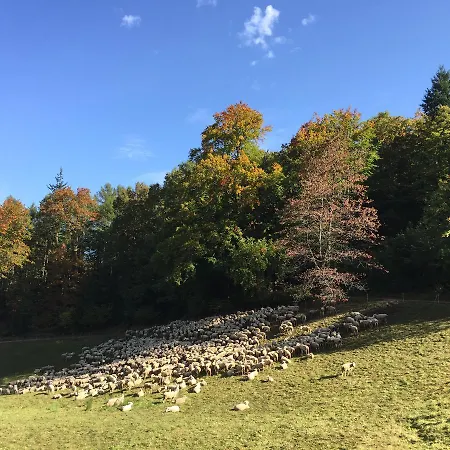 Hotell Kull Von Schmidsfelden Bad Herrenalb