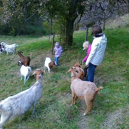 Kull Von Schmidsfelden Bad Herrenalb