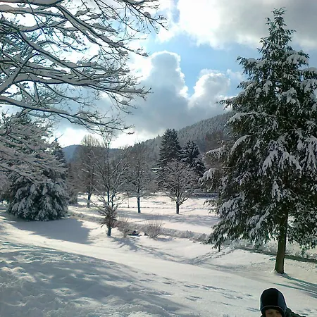 Hotel Kull Von Schmidsfelden Bad Herrenalb