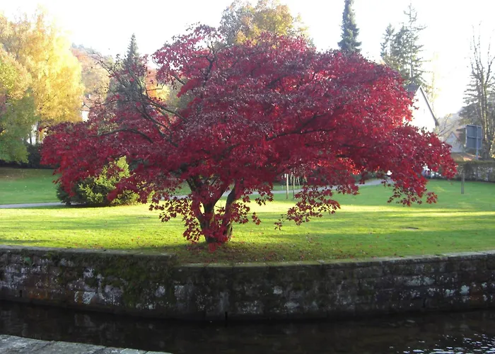 Hotell Kull Von Schmidsfelden 3*