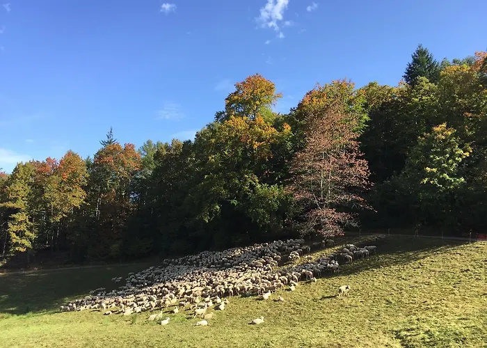 Hotel Kull Von Schmidsfelden Bad Herrenalb