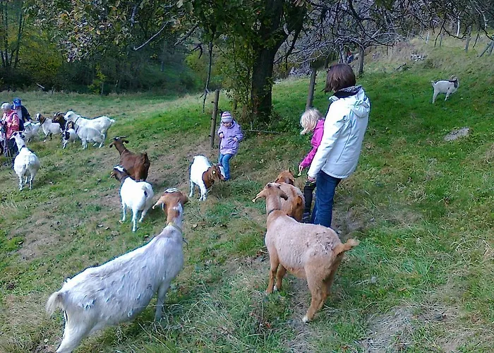 Kull Von Schmidsfelden Bad Herrenalb