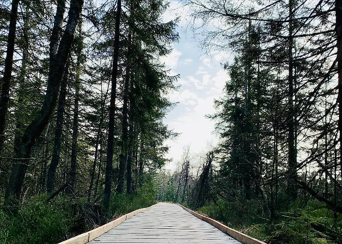 Kull Von Schmidsfelden Hotell